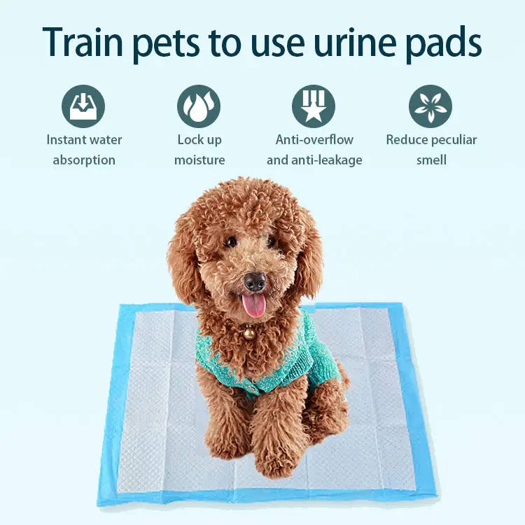 Premium wholesale free sample quick dry disposable waterproof anti slip puppy pet doggy pee pads