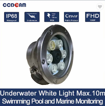 white light 2MP POE Underwater IP Camera  for Fish Monitoring swimming pool and Aquarium