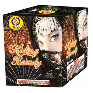 High quality 25 shots fireworks Display Cakes wholesale salutes 1.3G Fireworks factory prices for sale