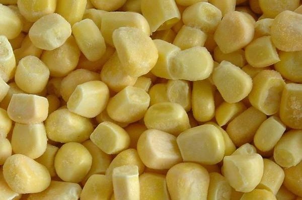 Bulk Sales Naturally Yellow IQF Sweet Corn With ISO HACCP Certification From Vietnam For Export