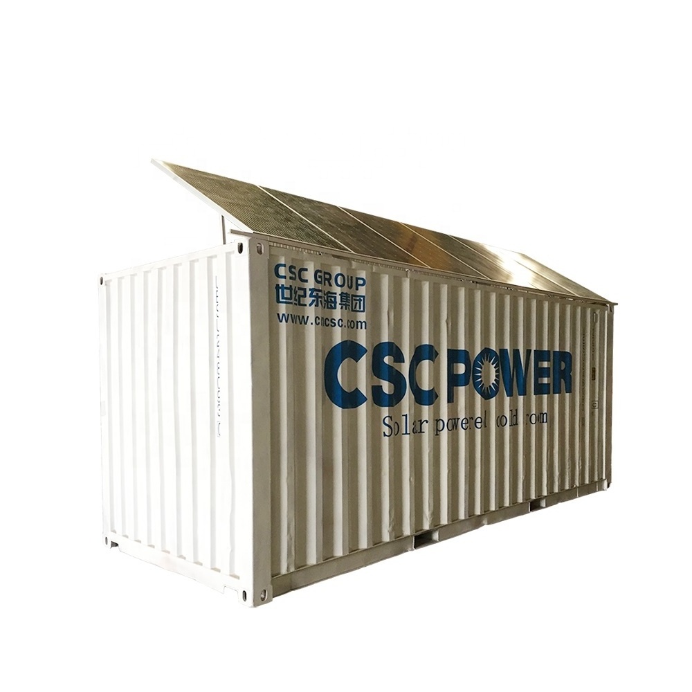 20ft and 40ft solar power system Container Cold Room Portable Cold Storage for Fish Meat Fruits Vegetables for Sale