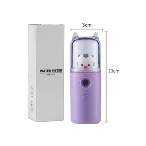 hot selling spray water replenishment instrument USB charging face mist spray