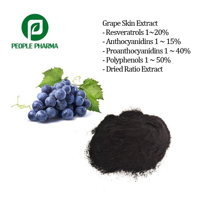 Black Bean Peel Extract 25% Anthocyanidins Black soybean Powder