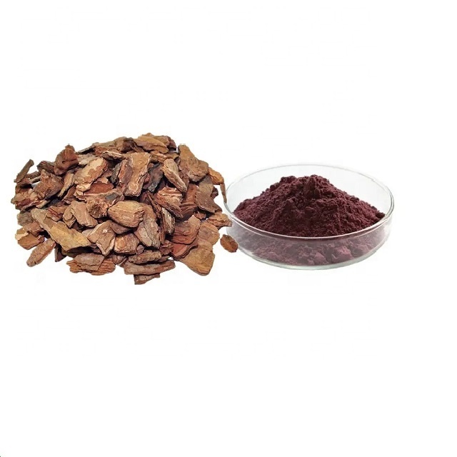 Raw material Pine Bark Extract bulk Powder 95% OPC proanthocyanidins