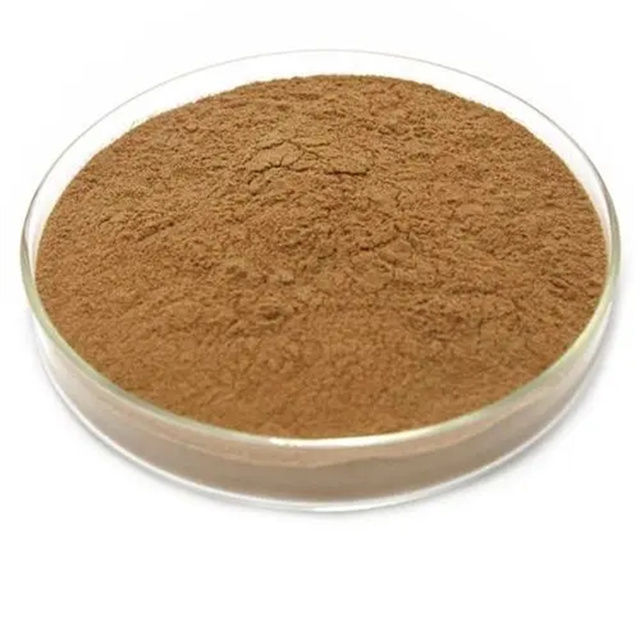 Factory Supply High Quality Hot Selling Raspberry leaf extract powder