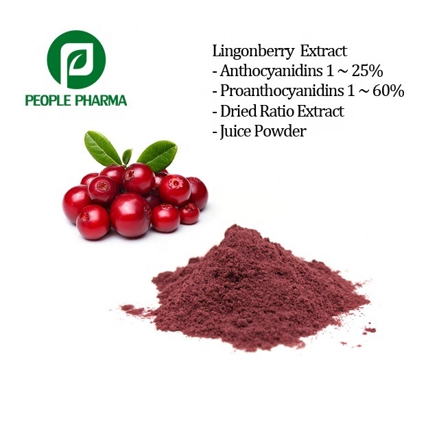 Black Bean Peel Extract 25% Anthocyanidins Black soybean Powder