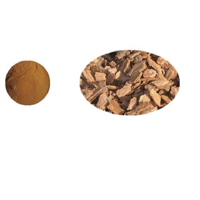 Raw material Pine Bark Extract bulk Powder 95% OPC proanthocyanidins