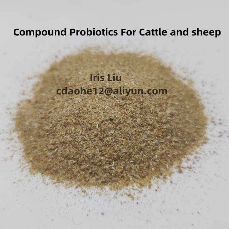 Feed Protein Raw Materials Yeast Powder Feed Additives Beer Yeast Powder for Animal Supplement