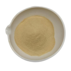 Feed Protein Raw Materials Yeast Powder Feed Additives Beer Yeast Powder for Animal Supplement