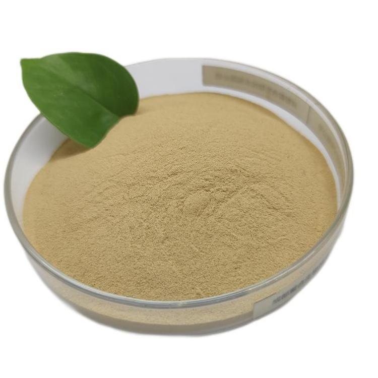 Feed Protein Raw Materials Yeast Powder Feed Additives Beer Yeast Powder for Animal Supplement