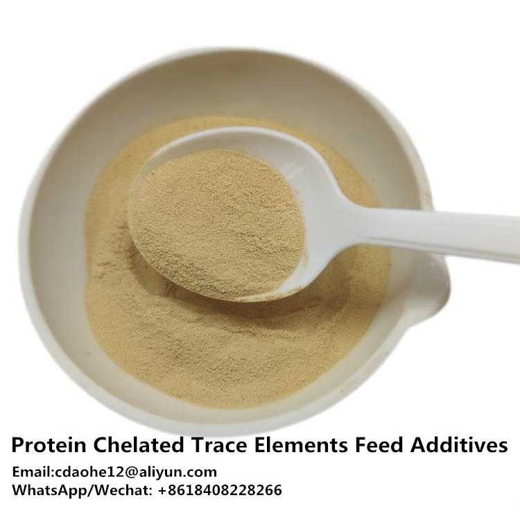 Feed Additives Microbial Toxin Binder with Enzyme & Probiotics Enhance Immunity and Protect Intestines