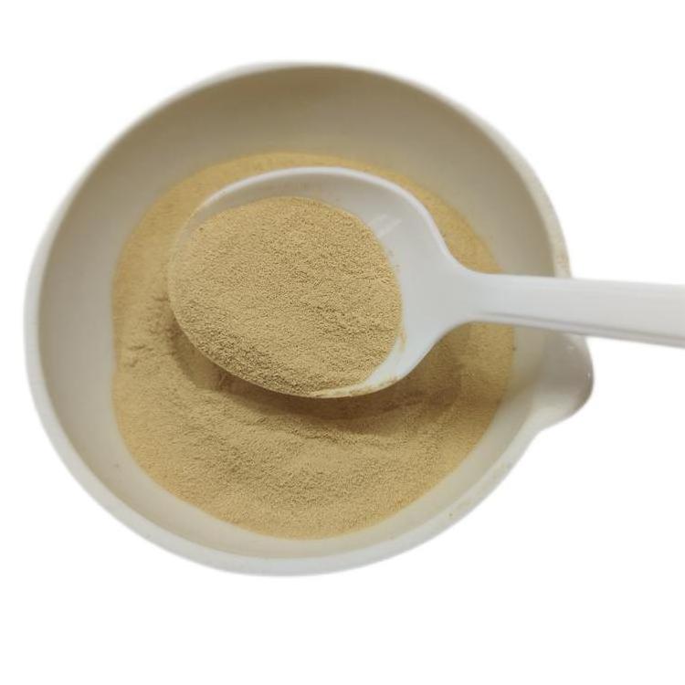 Feed Protein Raw Materials Yeast Powder Feed Additives Beer Yeast Powder for Animal Supplement