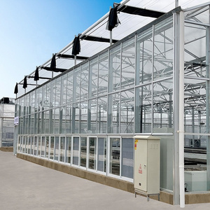 Seeding nursery rolling bench arch plastic film venlo type glass greenhouse for sale