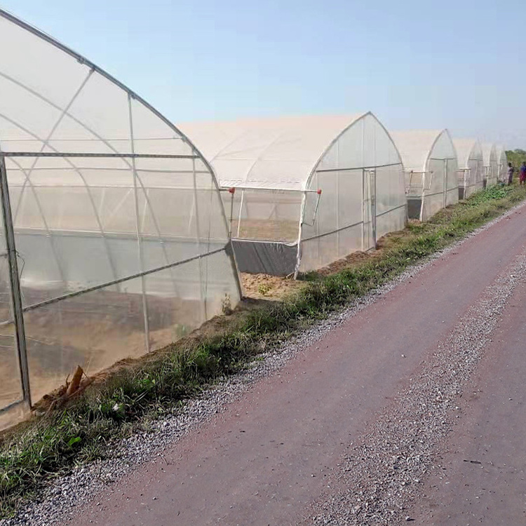 Agriculture planting inflatable tunnel tropical sliding doors plastic film single-span greenhouse