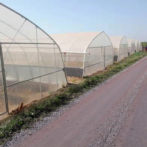 Agriculture planting inflatable tunnel tropical sliding doors plastic film single-span greenhouse