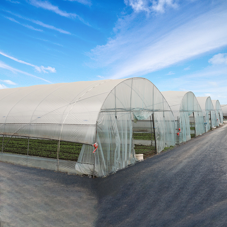 Hot Sale Agriculture Stable Tomato Production Used Greenhouse Frames For Sale