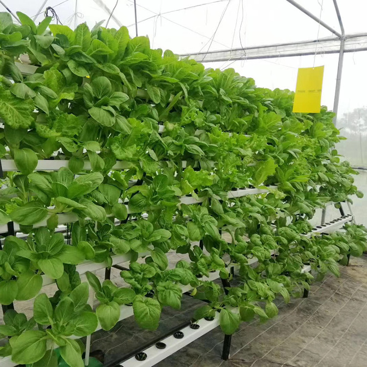 Grow system potatoes growing hydroponics pump growing system indoor small commercial dutch