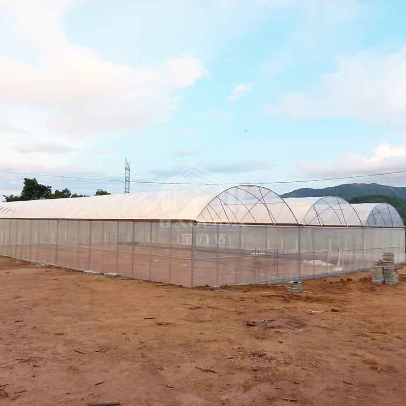 Agricultural Used Greenhouse Equipment For Sale