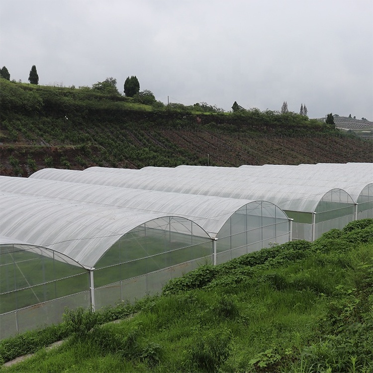 Agricultural Used Greenhouse Equipment For Sale