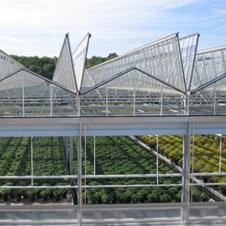 Seeding nursery rolling bench arch plastic film venlo type glass greenhouse for sale