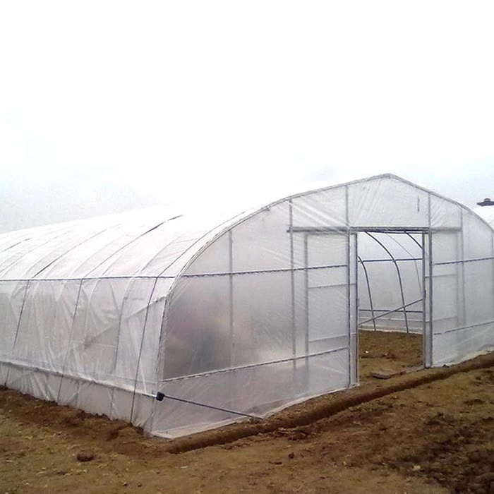 Hot Sale Agriculture Stable Tomato Production Used Greenhouse Frames For Sale