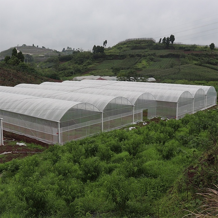 Agricultural Used Greenhouse Equipment For Sale