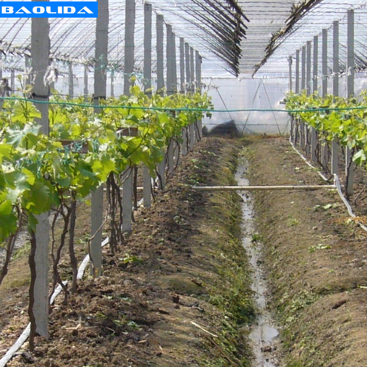 Low Cost Drip And Sprinkler Irrigation System