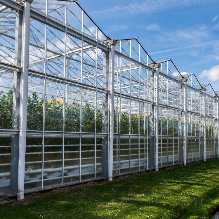 Seeding nursery rolling bench arch plastic film venlo type glass greenhouse for sale