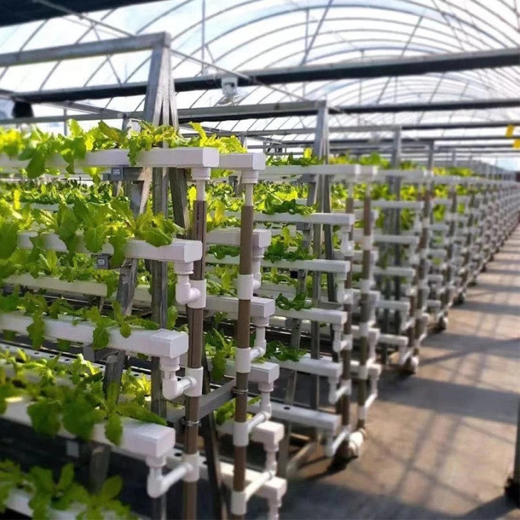 Grow system potatoes growing hydroponics pump growing system indoor small commercial dutch