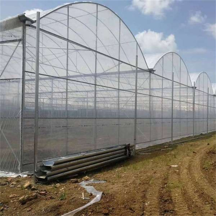 Agricultural Used Greenhouse Equipment For Sale