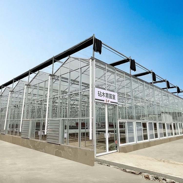 Seeding nursery rolling bench arch plastic film venlo type glass greenhouse for sale