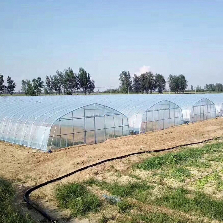 Agriculture planting inflatable tunnel tropical sliding doors plastic film single-span greenhouse