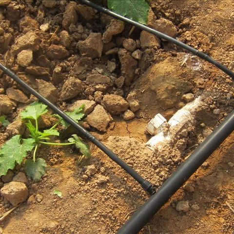 Low Cost Drip And Sprinkler Irrigation System