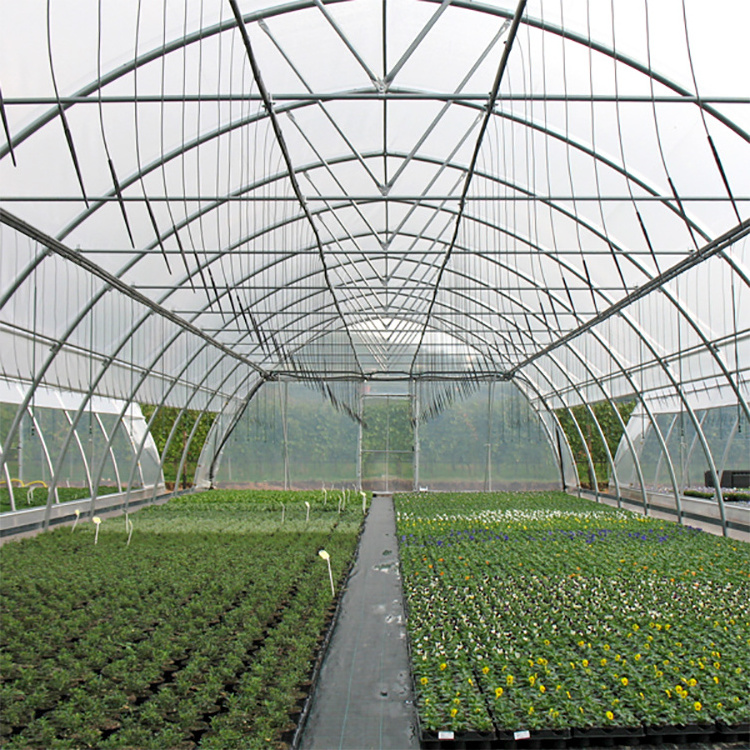 Hot Sale Agriculture Stable Tomato Production Used Greenhouse Frames For Sale