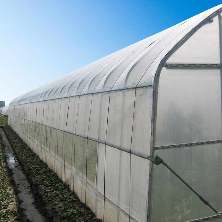 Agriculture planting inflatable tunnel tropical sliding doors plastic film single-span greenhouse