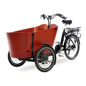 Electrico tricycle trike para adulto e pasajeros cargo electric pedal assist trike electric 3 wheel cargo bike electric pedicab