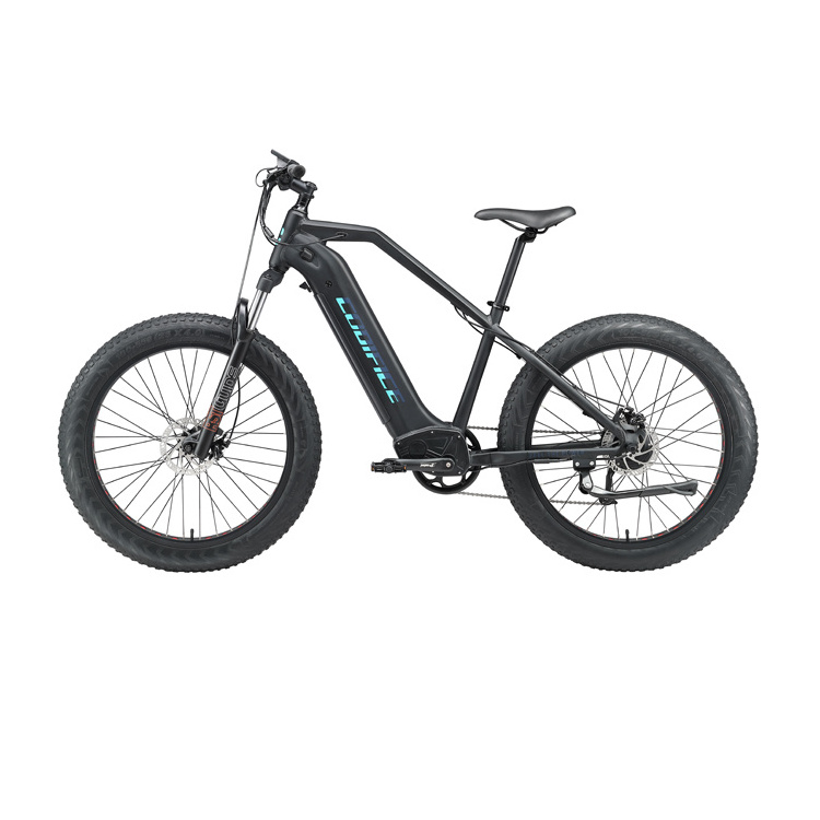 hybrid B to B e-bike 250w 750 watt 26inch 4.0 fat tire  fast electric  mountain bike