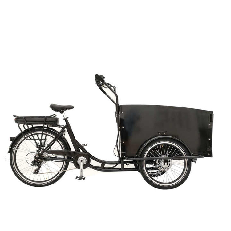 Electrico tricycle trike para adulto e pasajeros cargo electric pedal assist trike electric 3 wheel cargo bike electric pedicab