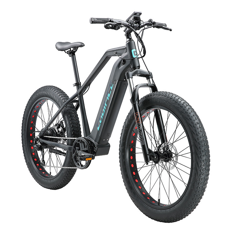 oem e fiets fatbike 48v elektro fahrrad elektrische hybrid bike e-bike 250w 750 watt 26inch 4.0 fat tire electric mountain bike