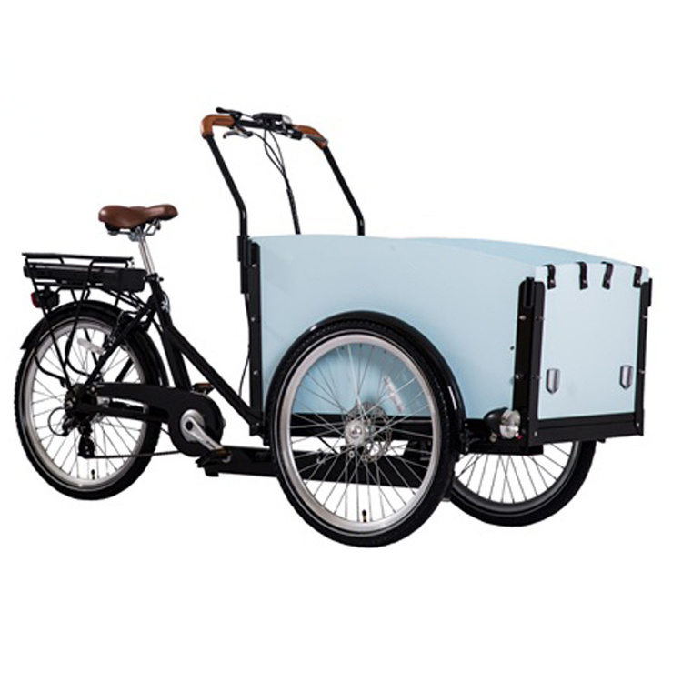 Electrico tricycle trike para adulto e pasajeros cargo electric pedal assist trike electric 3 wheel cargo bike electric pedicab