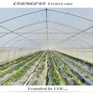 Used Agricultural commercial single-span plastic film high tunnel strawberry Greenhouse structure Frames For Sale