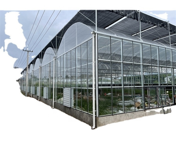 Multi span customized film commercial agricultural greenhouses tunneling used for sale