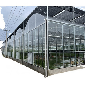 Multi span customized film commercial agricultural greenhouses tunneling used for sale