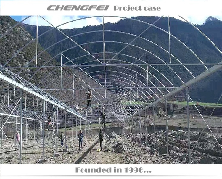 Multi span customized film commercial agricultural greenhouses tunneling used for sale