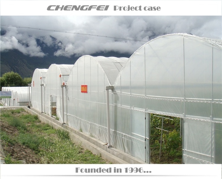 Multi span customized film commercial agricultural greenhouses tunneling used for sale