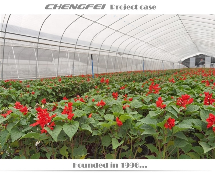 Used Agricultural commercial single-span plastic film high tunnel strawberry Greenhouse structure Frames For Sale