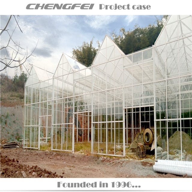 Mini Garden Greenhouse Hot-dip galvanized steel Greenhouse For Plant With Best Price