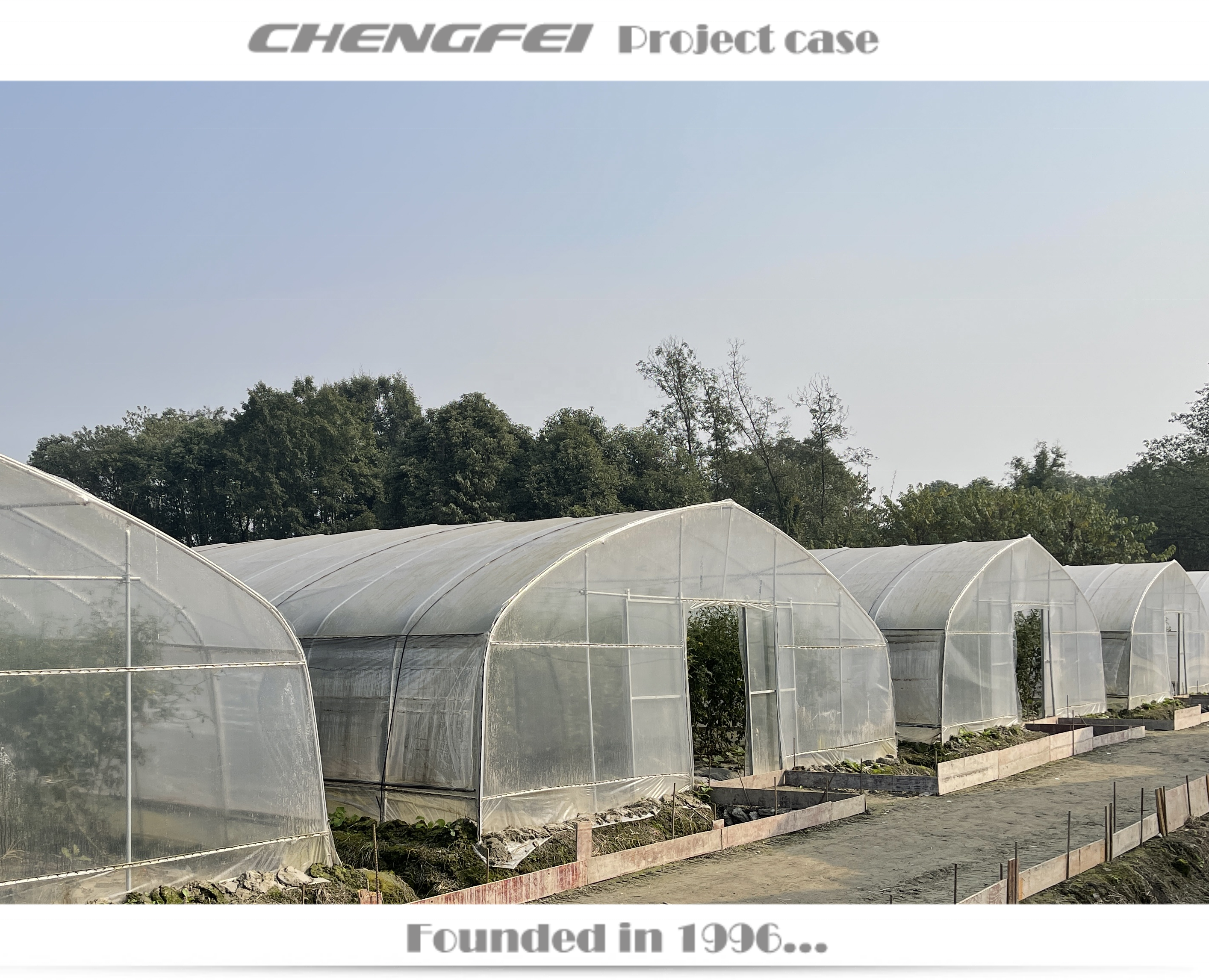 Used Agricultural commercial single-span plastic film high tunnel strawberry Greenhouse structure Frames For Sale