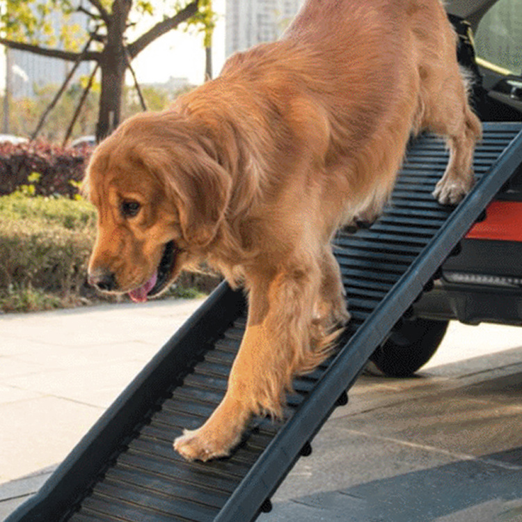 Hot sale Pet Plastic Ladder Ramps Dogs Folding Foldable Bed Adjustable  Stairs Stair Dog Car Ramp