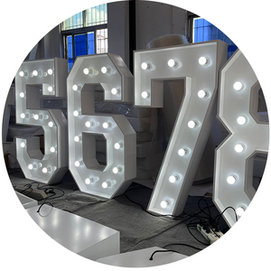 DS  Big Letter Sigs   Light Up number Sign 0-9 Light Up Letters Outdoor Led Marquee Letters